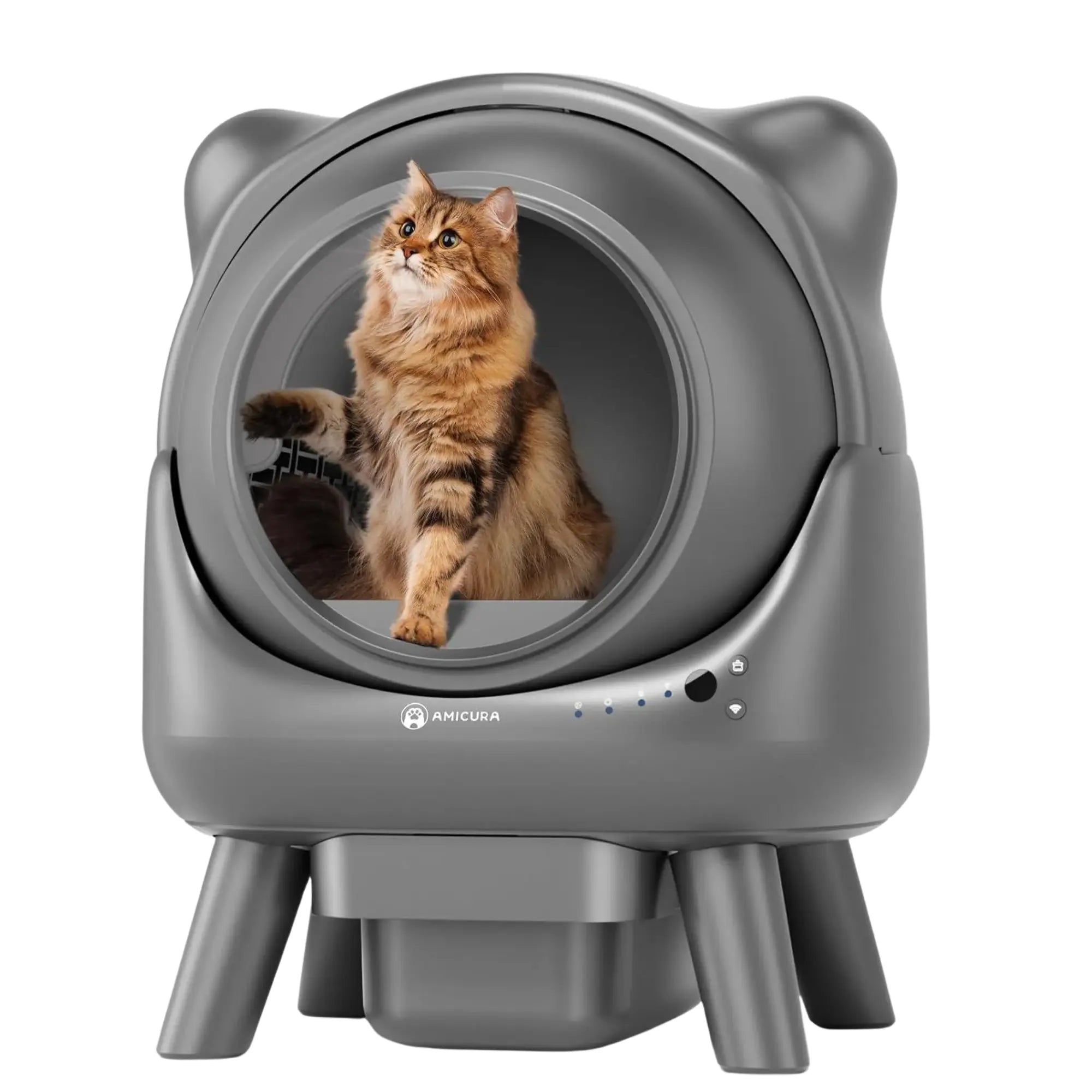 Selected Variant Image