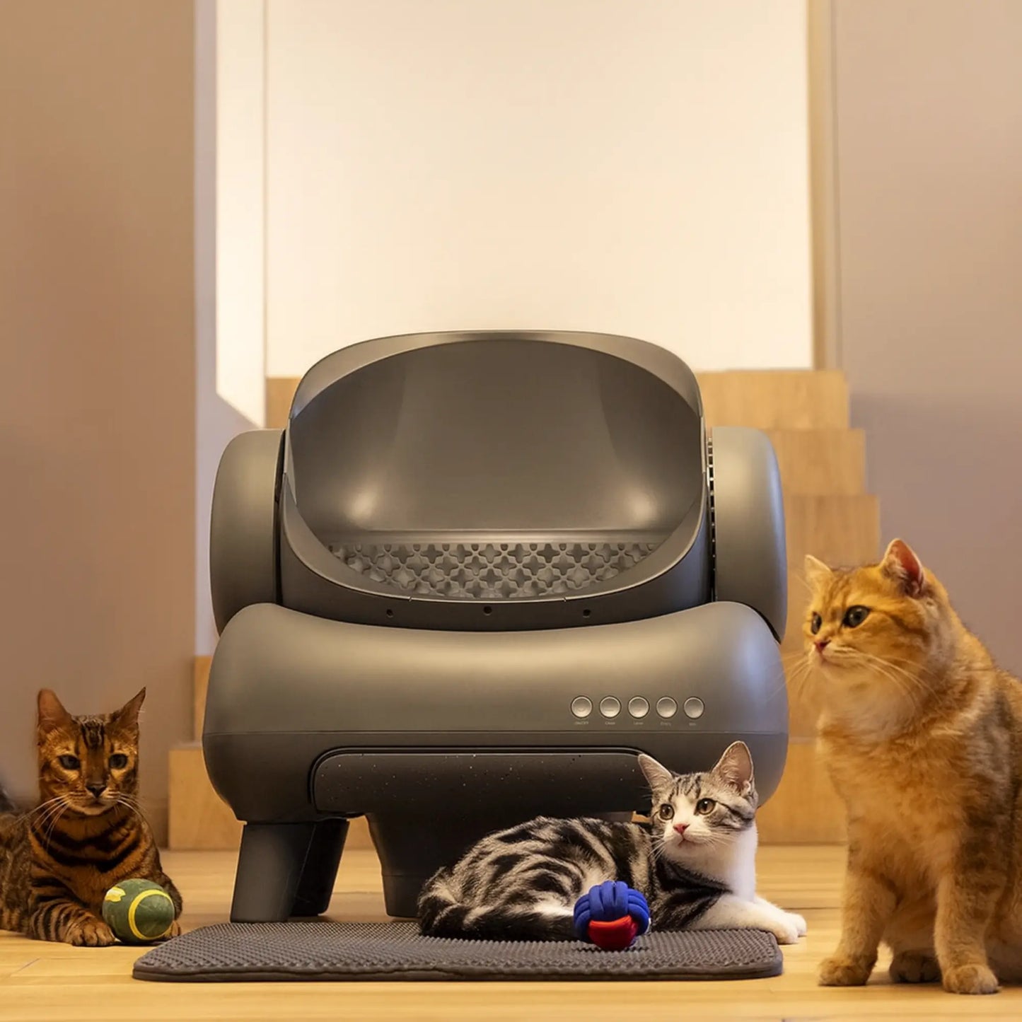 Litière automatique Neakasa M1 : autonettoyant, grande capacité, détecteurs intelligents.