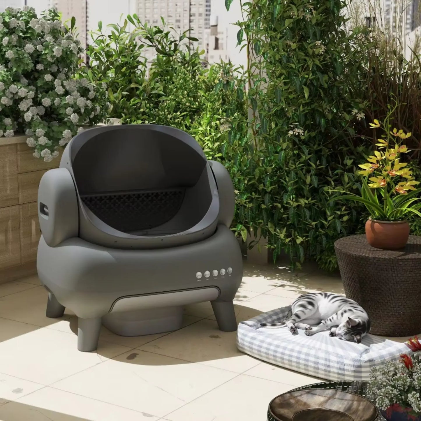 Litière automatique Neakasa M1 : autonettoyant, grande capacité, détecteurs intelligents.