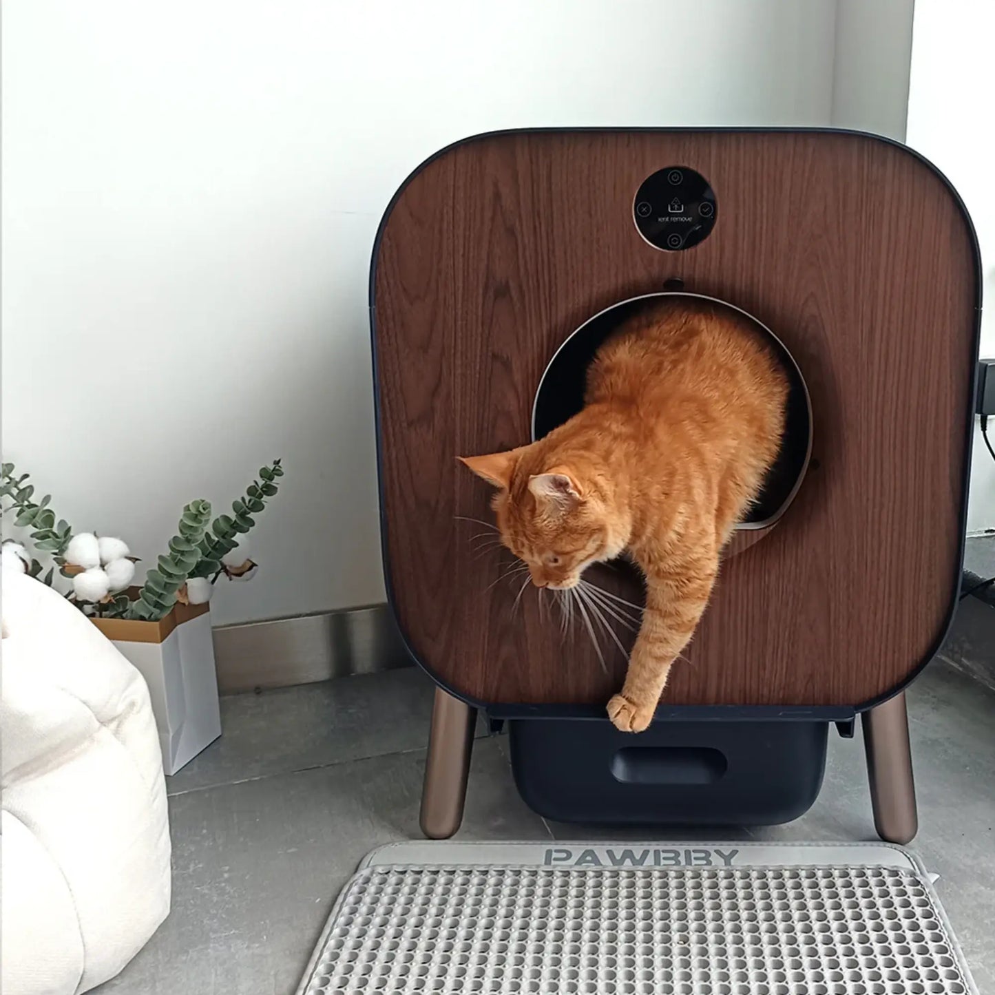 Litière Chat Autonettoyante Intelligente – PAWBBY P1 Ultra | Contrôle App, Design Bois