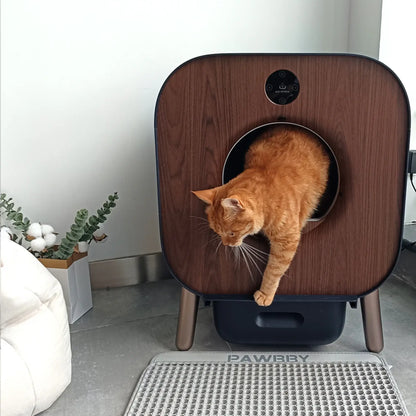 Litière Chat Autonettoyante Intelligente – PAWBBY P1 Ultra | Contrôle App, Design Bois